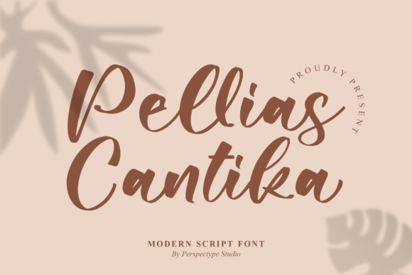 Pellias Cantika: A Script Font for Timeless Elegance