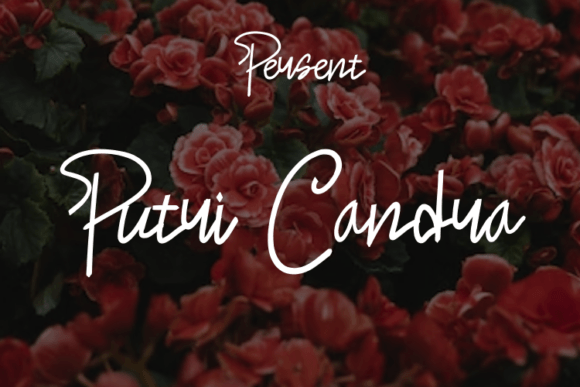Putri Candra: A Modern Script Typeface for Elegant Digital Branding