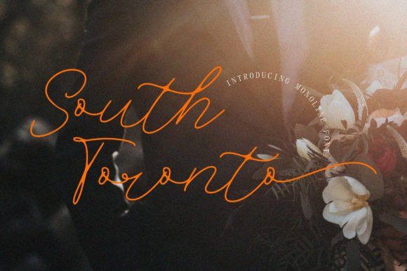 South Toronto Script Font for Modern Branding & Invitations