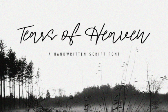 Tears of Heaven Script Font for Elegant Brand Identity